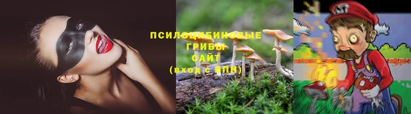 ГАЛЛЮЦИНОГЕННЫЕ ГРИБЫ Богородицк