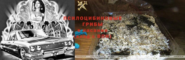 ГАЛЛЮЦИНОГЕННЫЕ ГРИБЫ Богородицк