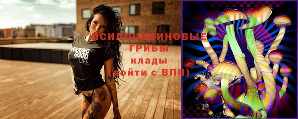 ГАЛЛЮЦИНОГЕННЫЕ ГРИБЫ Богородицк