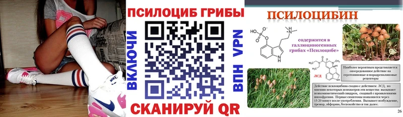 Псилоцибиновые грибы прущие грибы  хочу   Кологрив 